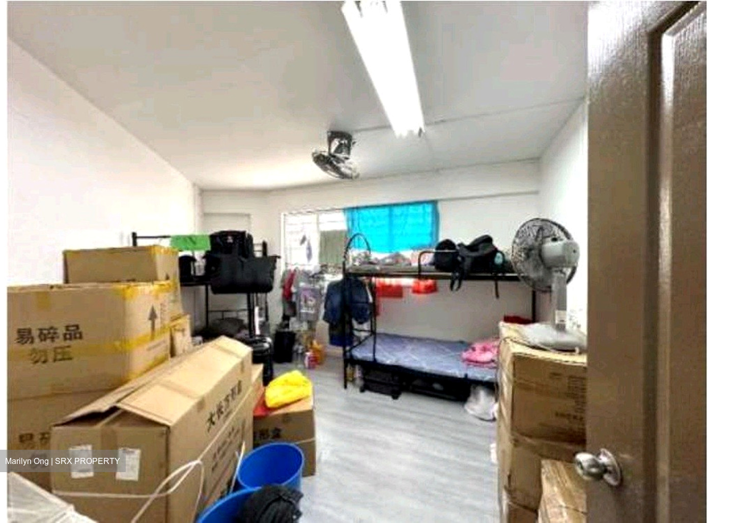 Hougang Avenue 1 (D19), Shop House #600227601